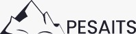 PESA IT SOLUTIONS LTD